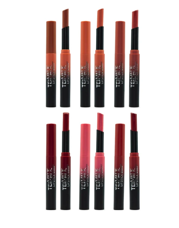 Lápiz Labial Matte Waterproof Lipstick